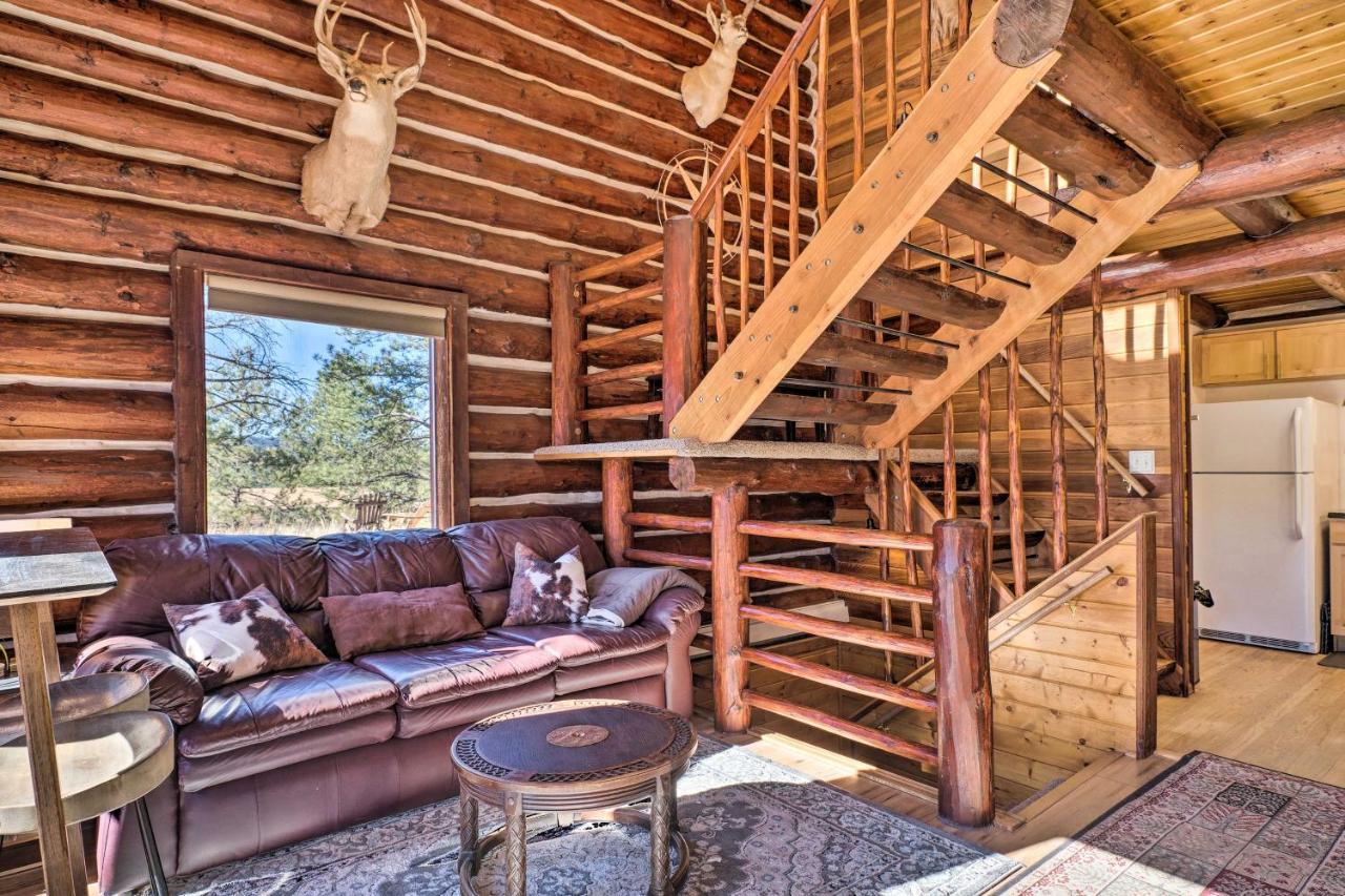 Classic Colorado Log Home With Mountain Views! Florissant Eksteriør billede